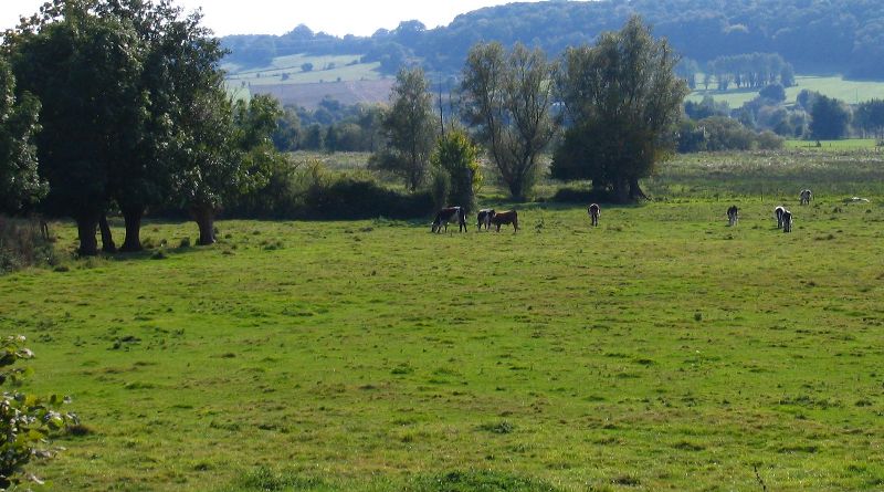 Normandie