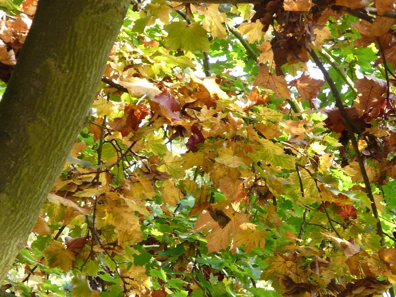 couleurs