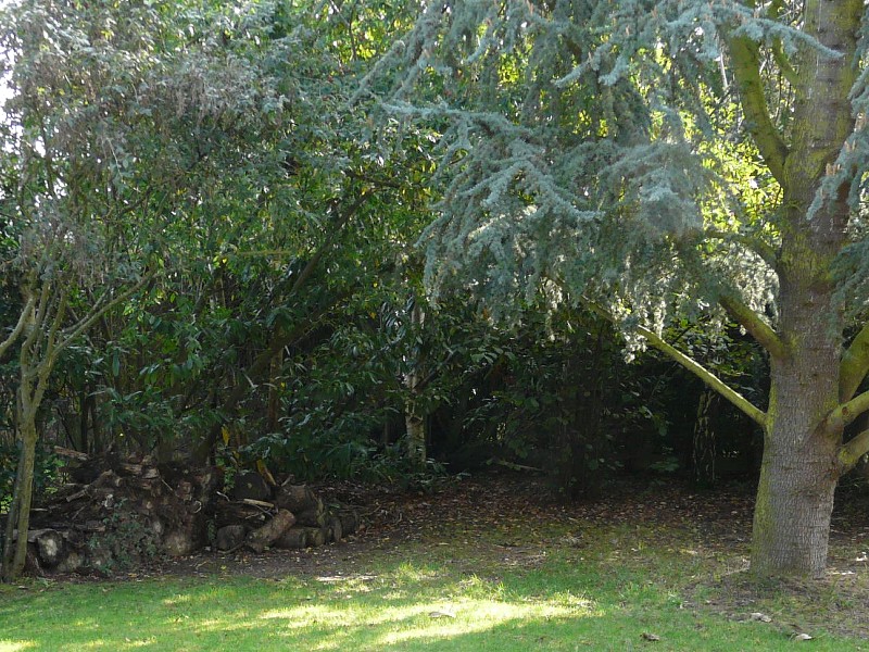 jardin