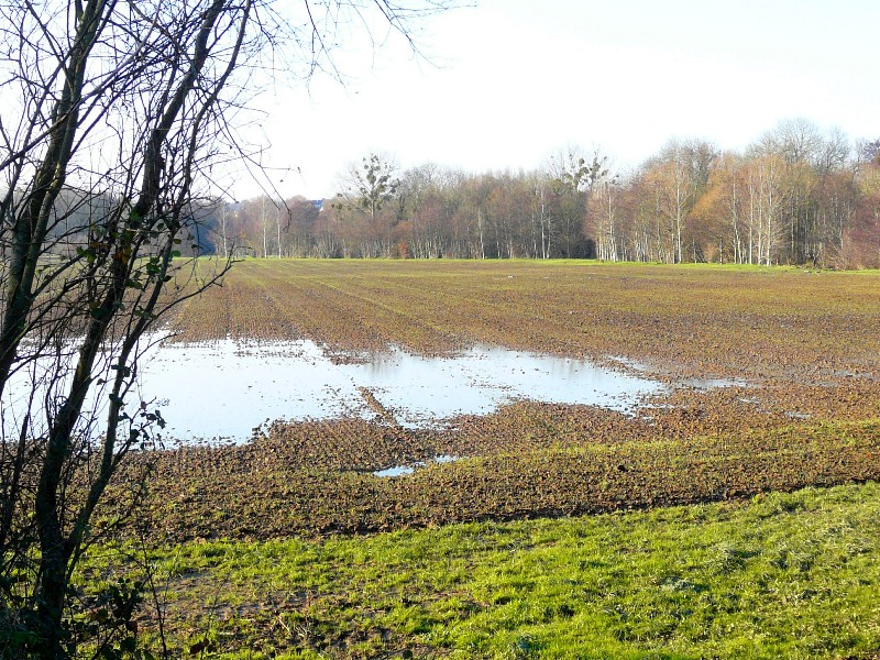 campagne