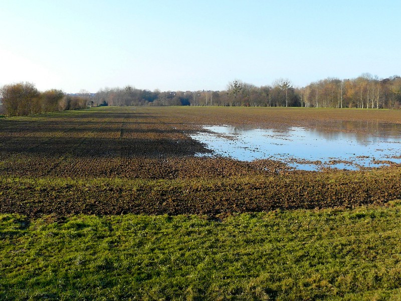 campagne