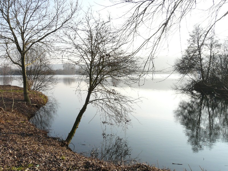 Marais Vernier