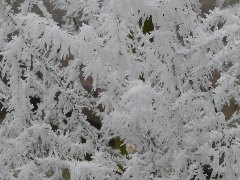 givre