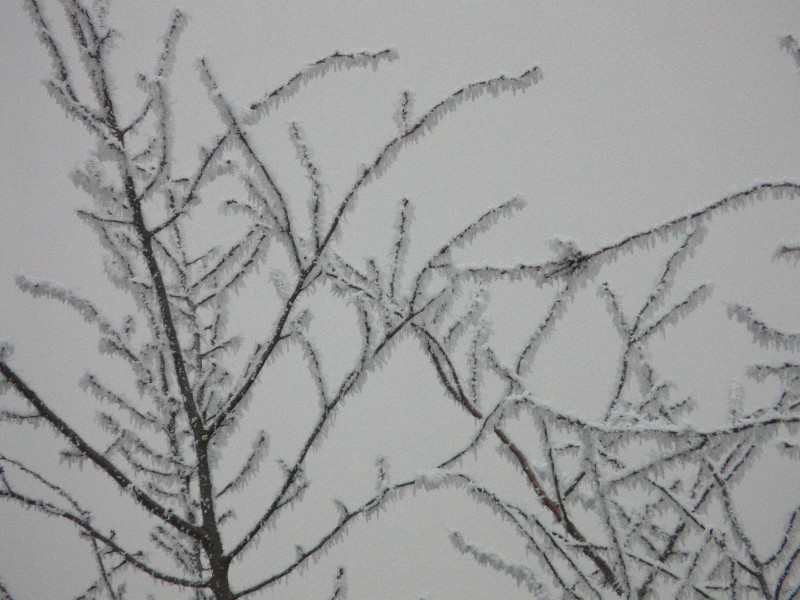 givre