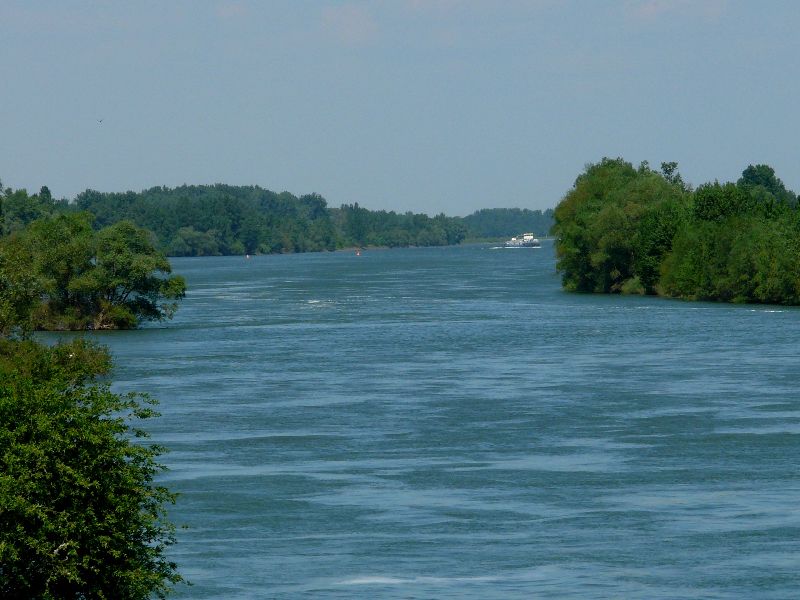 Rhin