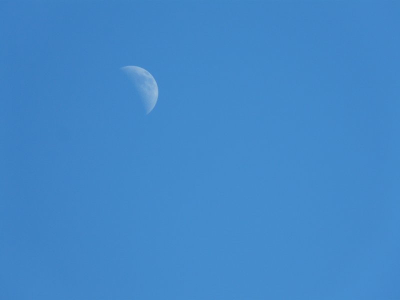 lune