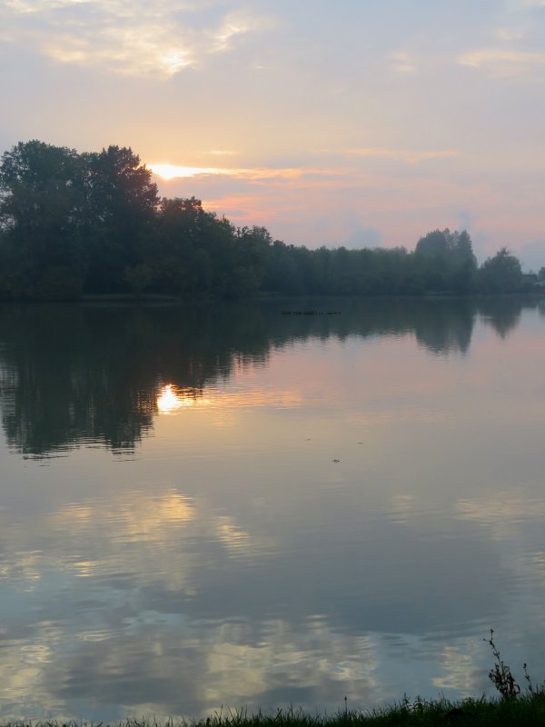 droite