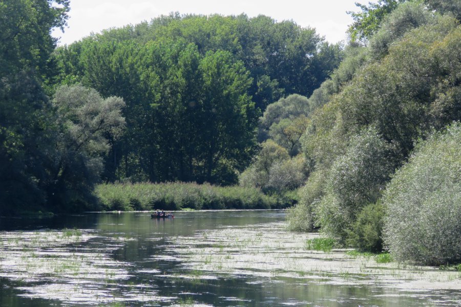 droite