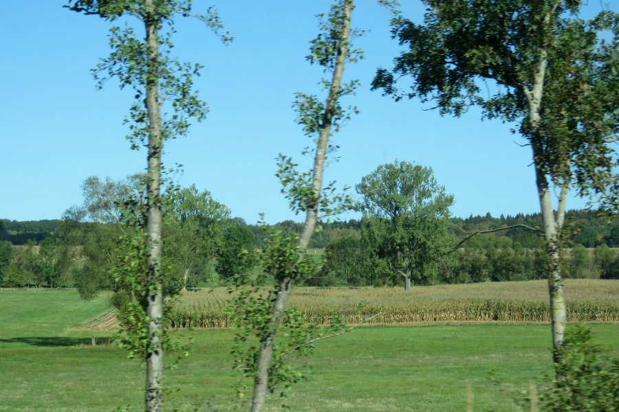droite