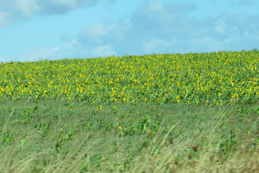 droite